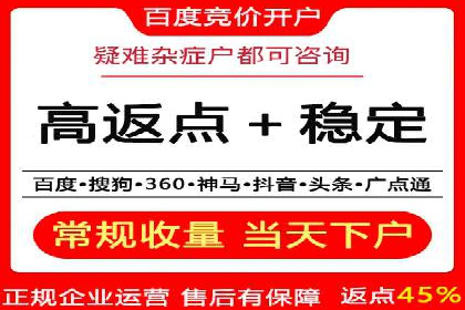 SEM竞价员的核心技能与成功案例解析